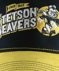 Stetson Football Beavers Trucker -Ivy Cap Sales Store 7751181 29 4 202102230415512