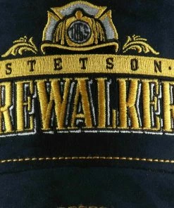 Stetson Firewalkers Trucker -Ivy Cap Sales Store 7756108 29 4 202103191210032