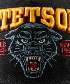 Stetson Trucker Cap Wild Ones -Ivy Cap Sales Store 7761118 12 5 202302150159512