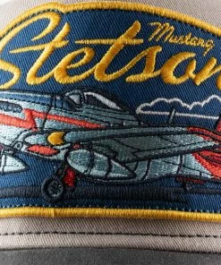 Stetson Airplane Trucker -Ivy Cap Sales Store 7766101 37 6 202302161715302