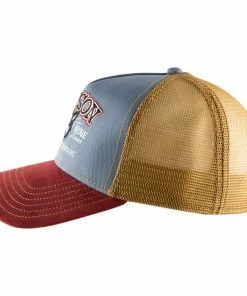 Stetson Cool Cats -Ivy Cap Sales Store 7766103 82 3 202302032011411