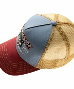 Stetson Cool Cats -Ivy Cap Sales Store 7766103 82 5 202302032011422