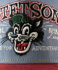 Stetson Cool Cats -Ivy Cap Sales Store 7766103 82 6 202302032011542