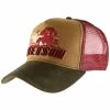 Stetson Trucker Cap Stronger Bison -Ivy Cap Sales Store baseball trucker stetson 69230