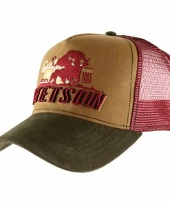 Stetson Trucker Cap Stronger Bison