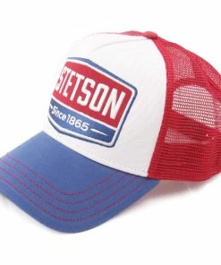 Ivy Cap Sales Store 17 Stetson Trucker Gasoline